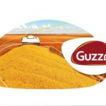 guzzo